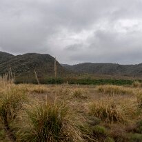 IMG_1066 11/09/2018 - No comment. There were even hills and a mountain near Sierra de la Ventana but it was in the clouds when we passed. Hills in the pampa are an event...